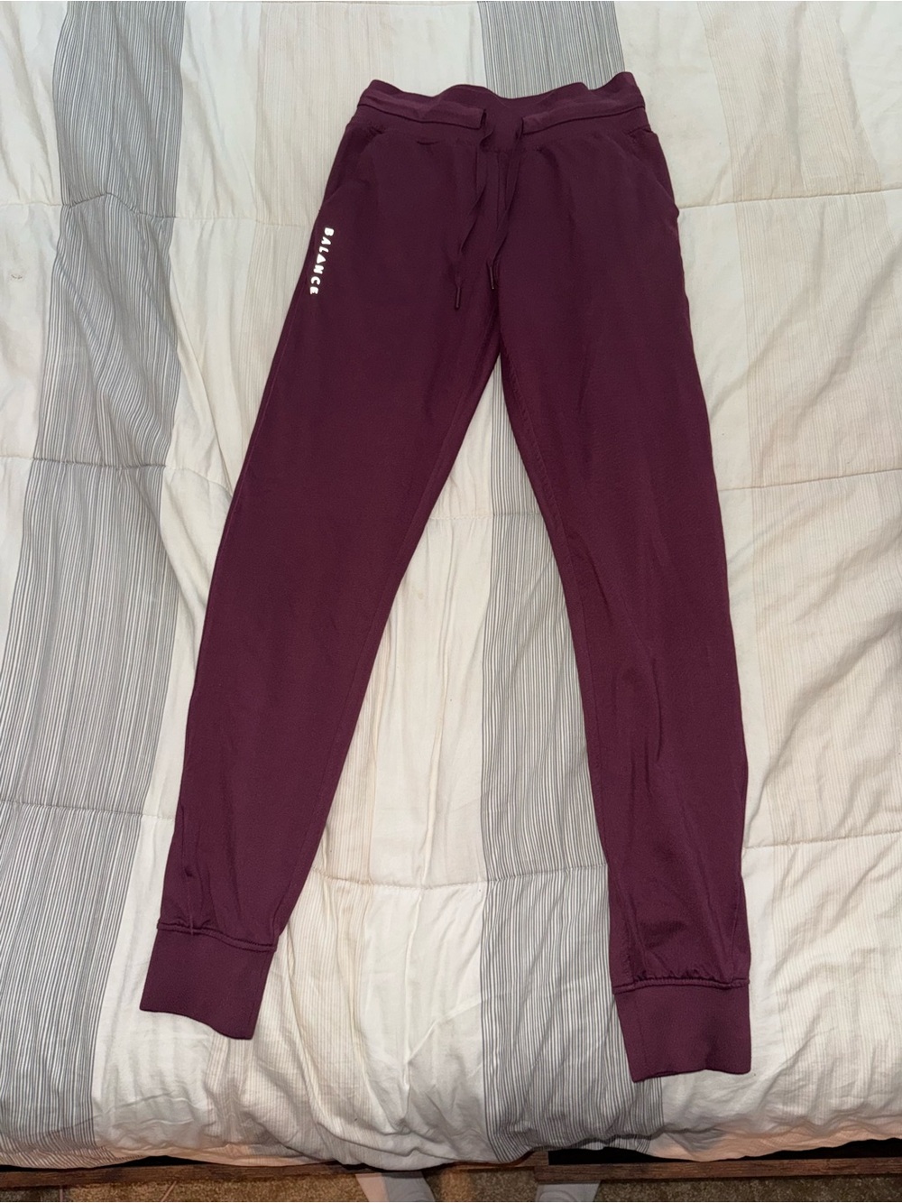 Balance Collection Burgundy Jogger Pants